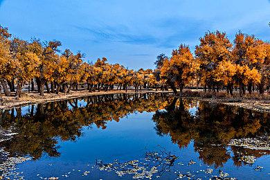 疑似《自杀小队：消灭正义联盟》急冻人截图泄露